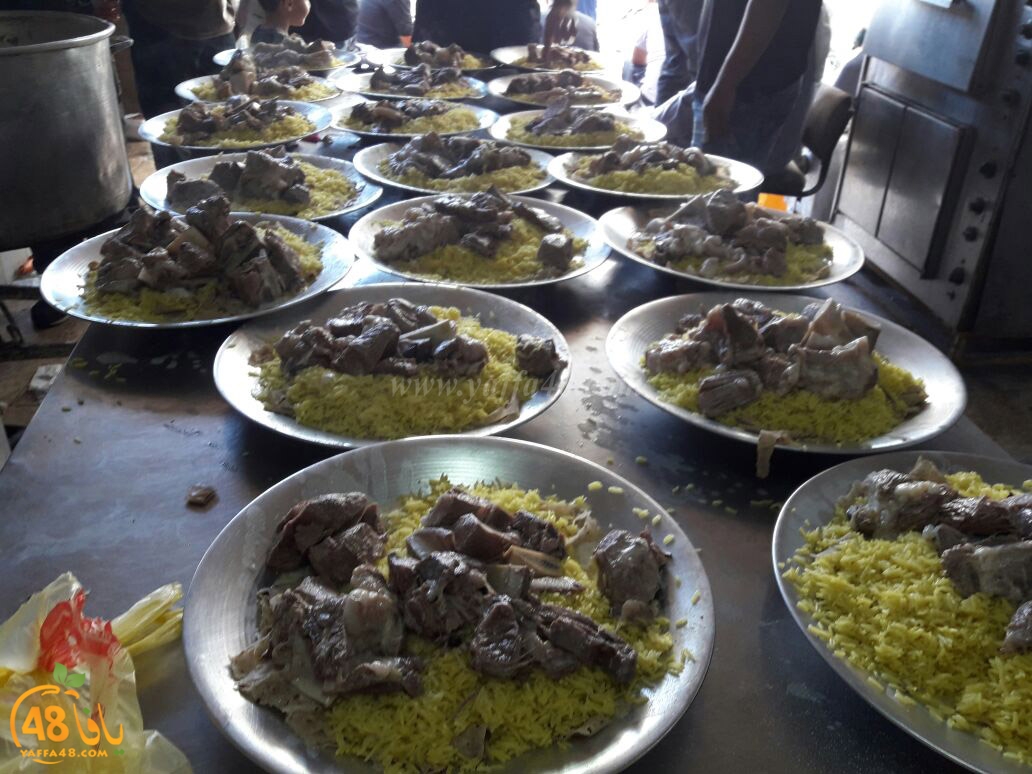 lod8om ada73y (59).jpg